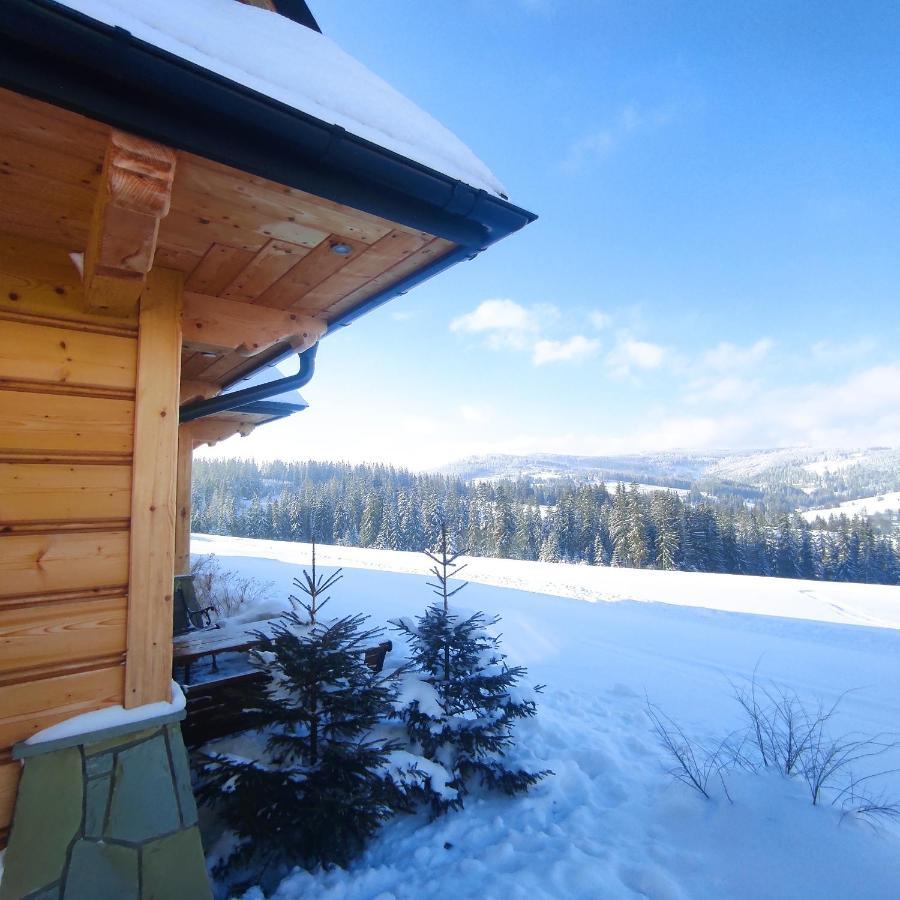 Witowianskie Domki Z Kominkiem, Jacuzzi I Sauna Dzianisz Екстериор снимка
