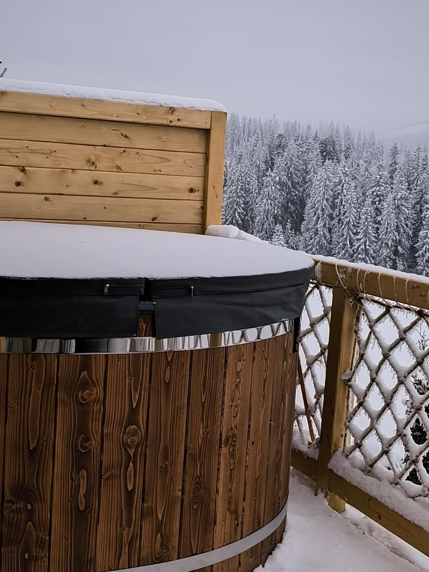 Witowianskie Domki Z Kominkiem, Jacuzzi I Sauna Dzianisz Екстериор снимка